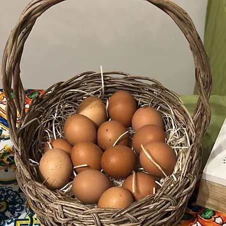 بيت ضيافة Sikelia 3*